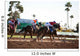 Horse Racing Wall Mural