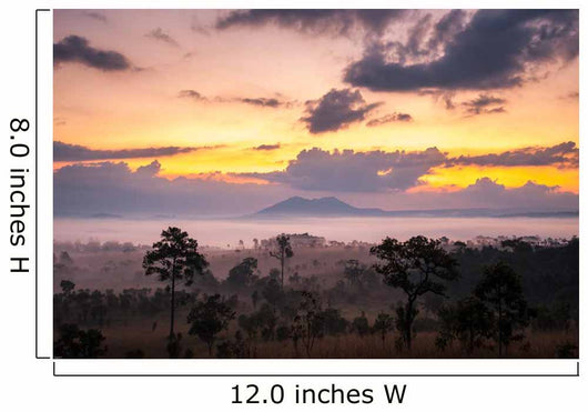 Sunrise Savanah Meadow Wall Decal