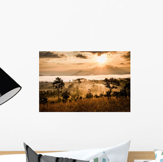 sunrise in savanah meadow Wall Mural