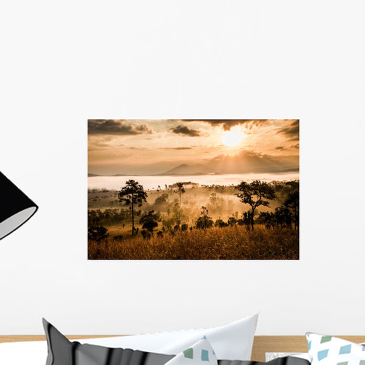 sunrise in savanah meadow Wall Mural