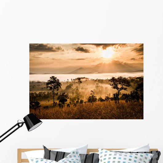 sunrise in savanah meadow Wall Mural