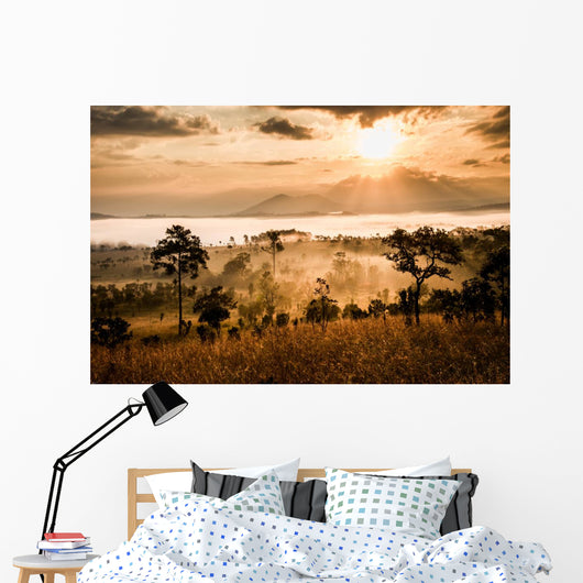 sunrise in savanah meadow Wall Mural