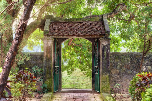 Asian Tropical Garden, Ninh Binh, Vietnam Wall Decal