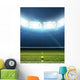 Stadium And Tennis Court Wall Mural