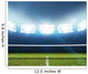 Stadium And Tennis Court Wall Mural