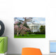 White House in Spring - Washington DC USA Wall Mural