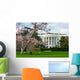 White House in Spring - Washington DC USA Wall Mural