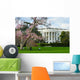 White House in Spring - Washington DC USA Wall Mural