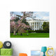 White House in Spring - Washington DC USA Wall Mural