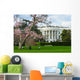 White House in Spring - Washington DC USA Wall Mural