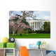 White House in Spring - Washington DC USA Wall Mural