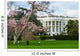 White House in Spring - Washington DC USA Wall Mural