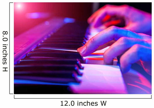 hands of musician playing keyboard Wall Mural