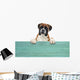Boxer 331 Wall Decal
