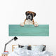 Boxer 331 Wall Decal