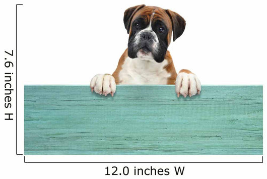 Boxer 331 Wall Decal