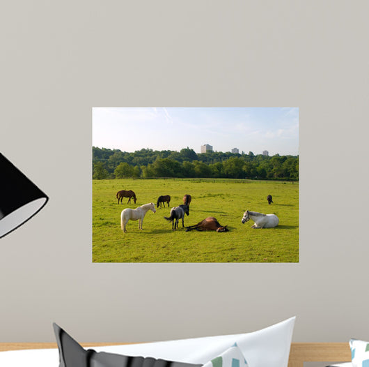 Sleeping Horses Green Field Wall Decal