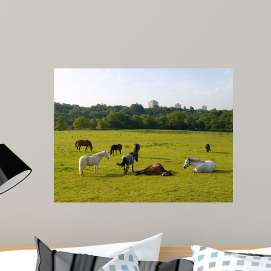 Sleeping Horses Green Field Wall Decal