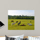 Sleeping Horses Green Field Wall Decal
