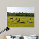 Sleeping Horses Green Field Wall Decal