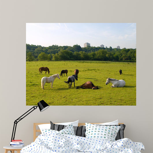 Sleeping Horses Green Field Wall Decal