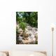 Jamaica. Dunn's River Falls. Wall Mural