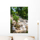Jamaica. Dunn's River Falls. Wall Mural
