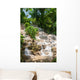 Jamaica. Dunn's River Falls. Wall Mural