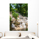 Jamaica. Dunn's River Falls. Wall Mural