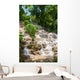 Jamaica. Dunn's River Falls. Wall Mural