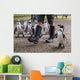 Penguin walk Zoo keeper walking Humboldt's Penguins Wall Mural