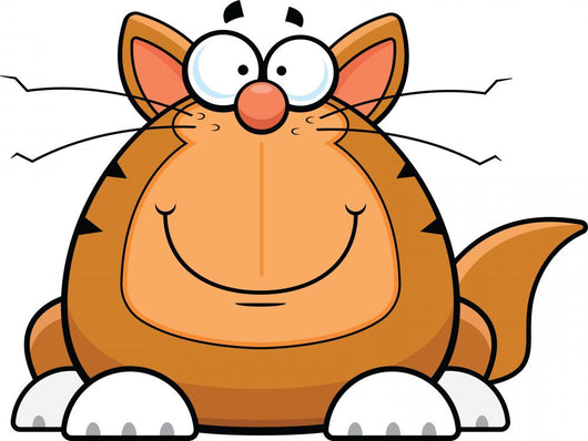 Cartoon Funny Cat Happy Wall Decal