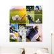Golfers Collage Golf Wall Mural