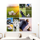 Golfers Collage Golf Wall Mural