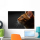 closeup bengal cat profile view Wall Mural