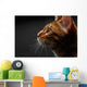 closeup bengal cat profile view Wall Mural