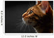 closeup bengal cat profile view Wall Mural