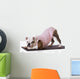 dog doing yoga Wall Mural