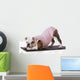 dog doing yoga Wall Mural