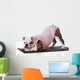 dog doing yoga Wall Mural
