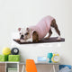 dog doing yoga Wall Mural