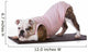 dog doing yoga Wall Mural