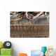 Hungarian homespun weaving. Wall Mural