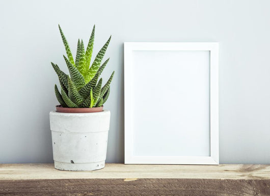 Frame With Succulent In Day Pot. Mock Up. Scandinavian Design Wall Decal