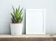 Frame With Succulent In Day Pot. Mock Up. Scandinavian Design Wall Decal