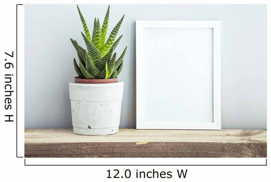 frame with succulent in diy  pot. Mock up. Scandinavian design Wall Mural