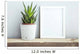 frame with succulent in diy  pot. Mock up. Scandinavian design Wall Mural