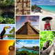 Riviera Maya Views Collage Wall Decal
