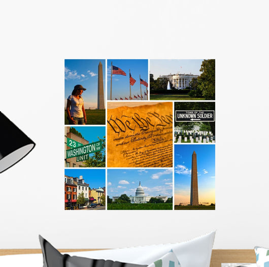 Washington Views Photo Collection Wall Decal