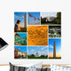 Washington Views Photo Collection Wall Decal
